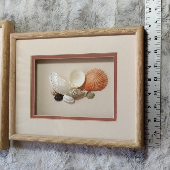 Vintage 2 Real Seashell Shadow Boxes Wooden Framed Wall Coastal Beach Art - Picture 6 of 9